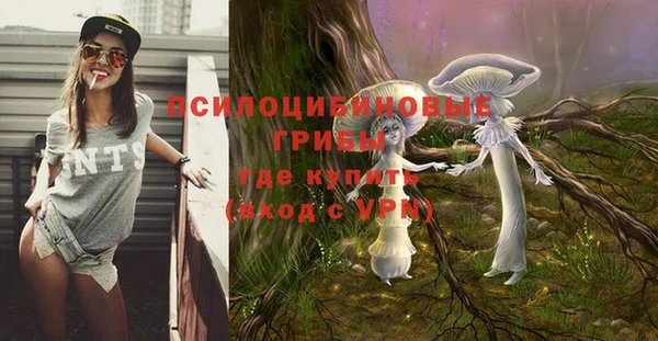 Альфа ПВП Киренск