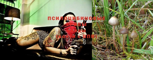 бошки Киреевск