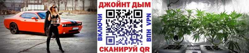 Купить  Кушва  Бошки марихуана THC 21% 